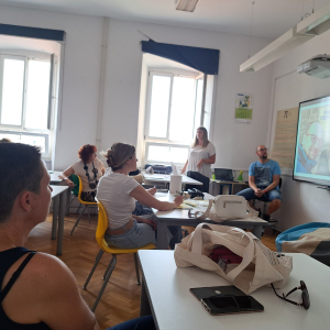 Job shadowing u Sloveniji