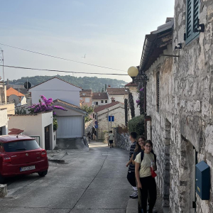 Volontiranje u popodnevnim satima